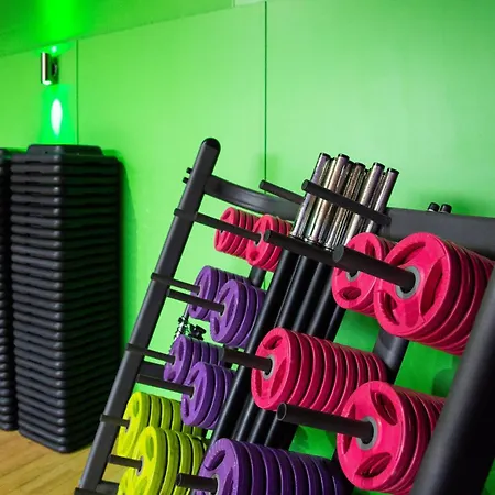 Tawny Owl Windermere