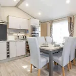 Tawny Owl Windermere