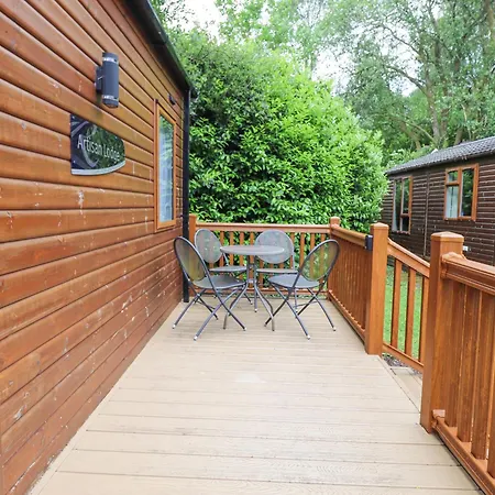 Tawny Owl 温德米尔