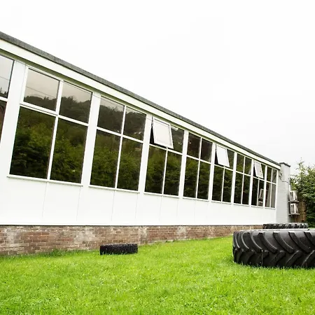 Tawny Owl 温德米尔